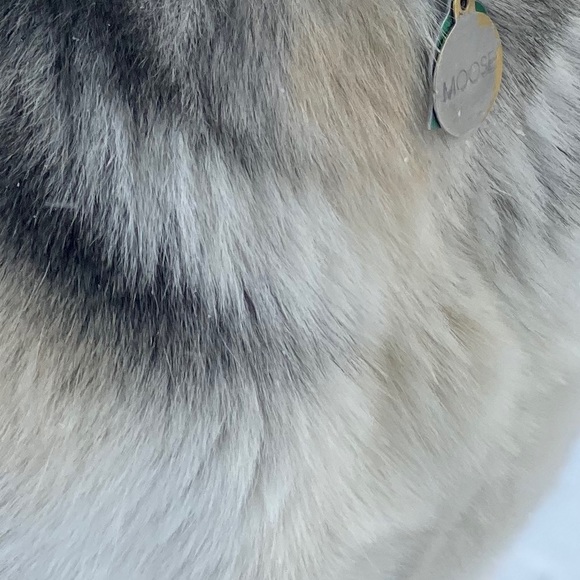 Meet your Posher, Michael - Picture 1 of 1